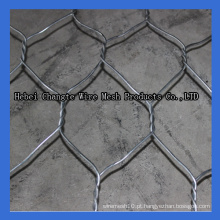 Galvanizado Gabion Wire Mesh (CT-2)